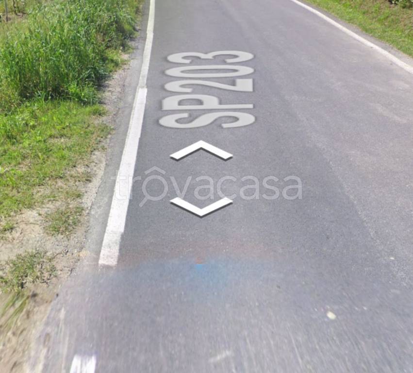immagine annuncio 11 di 14