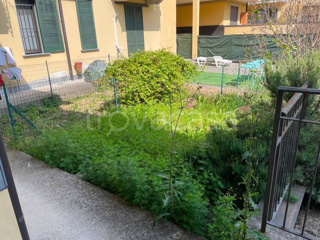 immagine annuncio 6 di 8