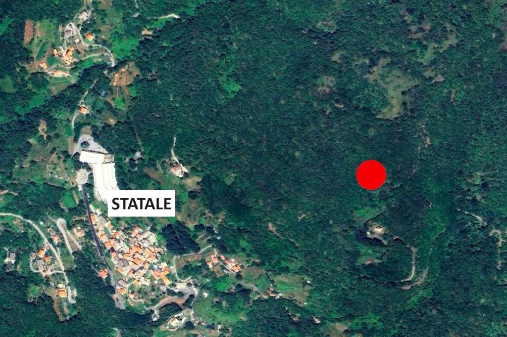 immagine annuncio 9 di 13