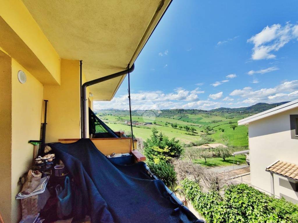 immagine annuncio 11 di 14