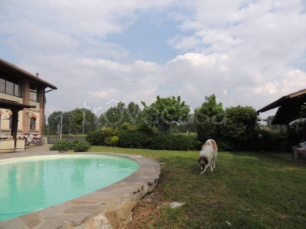 immagine annuncio 4 di 15
