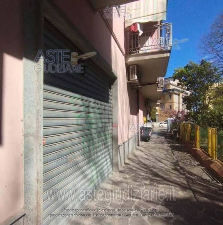 immagine annuncio 3 di 6
