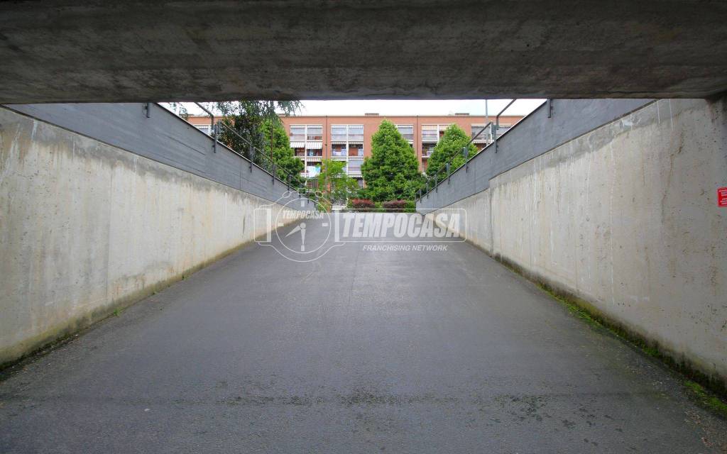 immagine annuncio 6 di 8