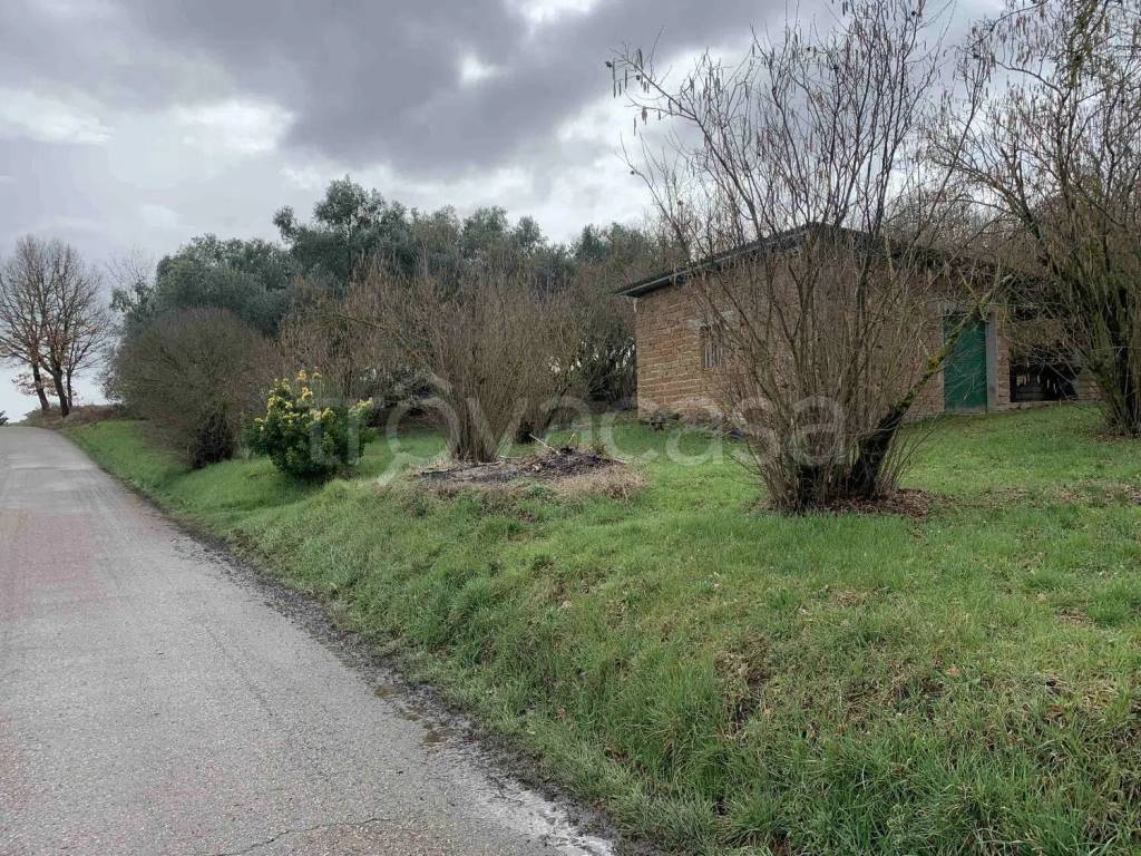 immagine annuncio 6 di 13