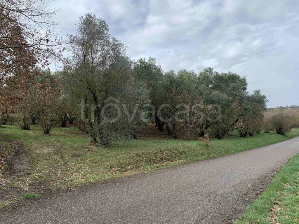 immagine annuncio 9 di 13
