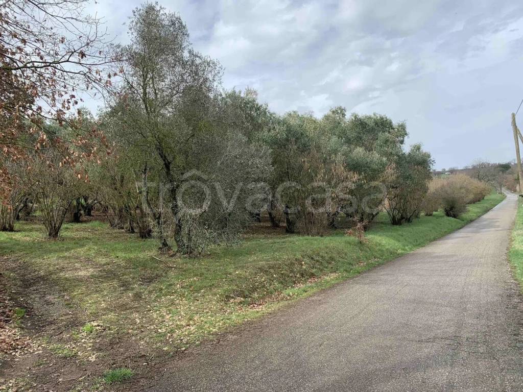 immagine annuncio 10 di 13