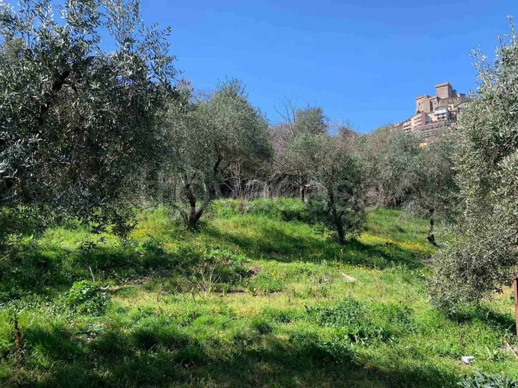 immagine annuncio 6 di 8