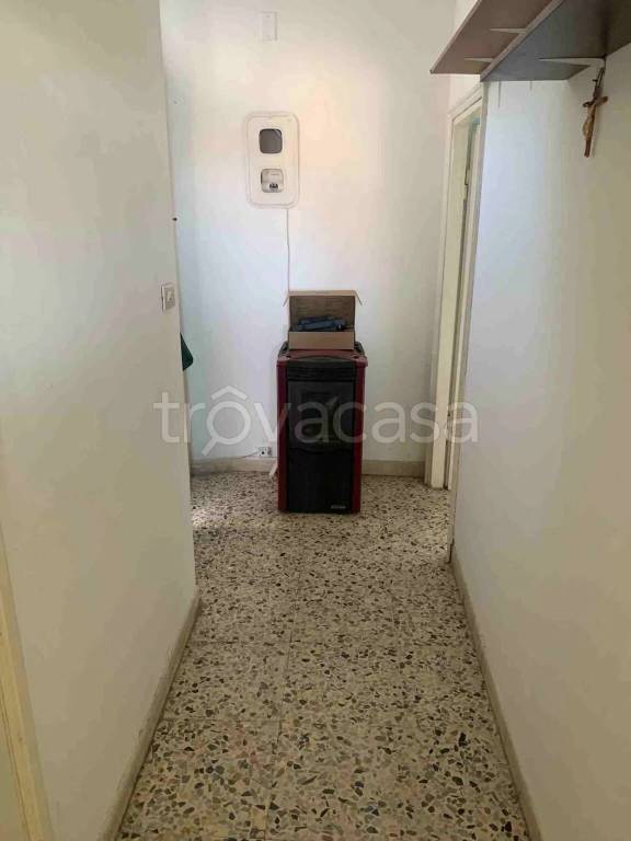 immagine annuncio 7 di 14