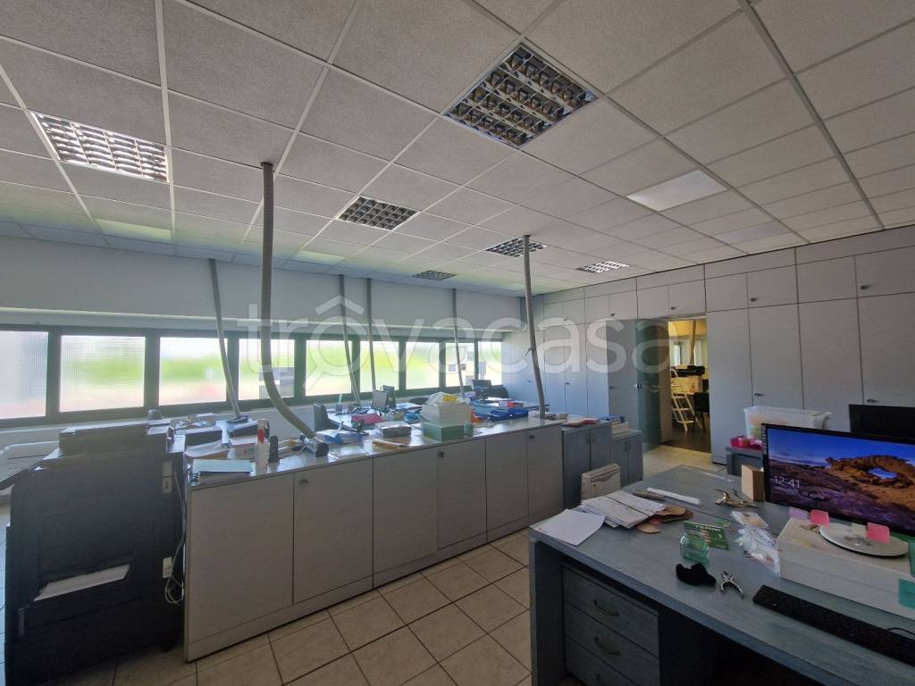 immagine annuncio 7 di 12