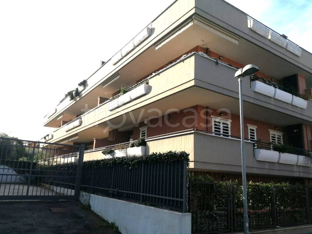 immagine annuncio 1 di 14