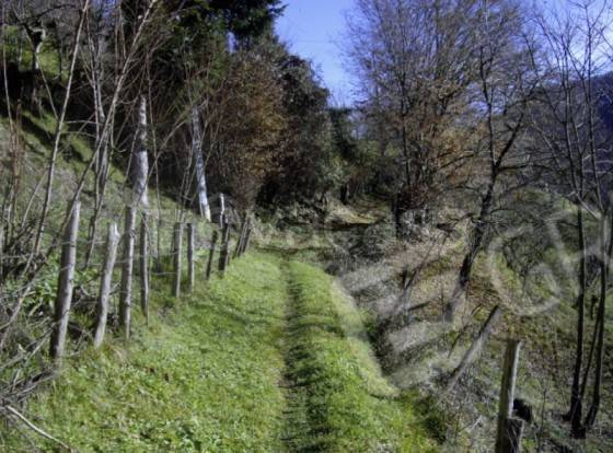immagine annuncio 3 di 8