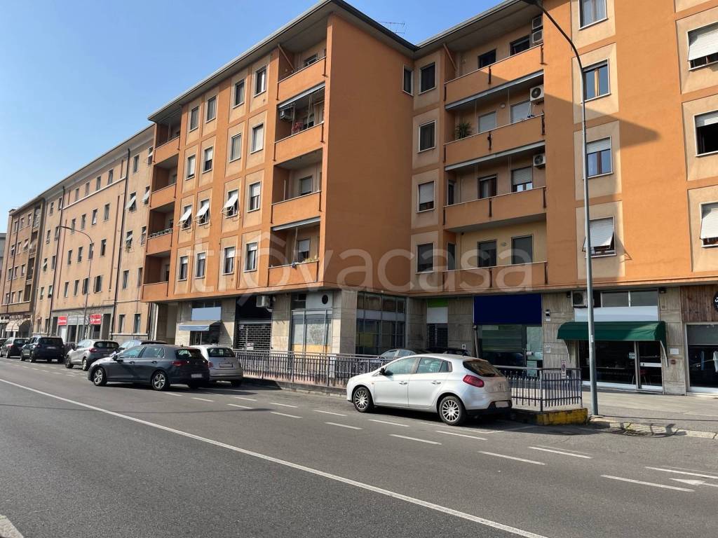 immagine annuncio 11 di 15