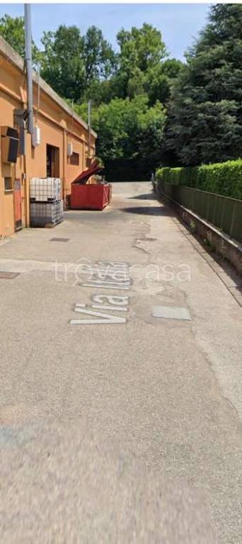 immagine annuncio 7 di 14