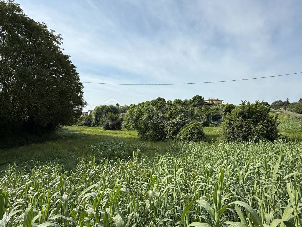 immagine annuncio 2 di 7