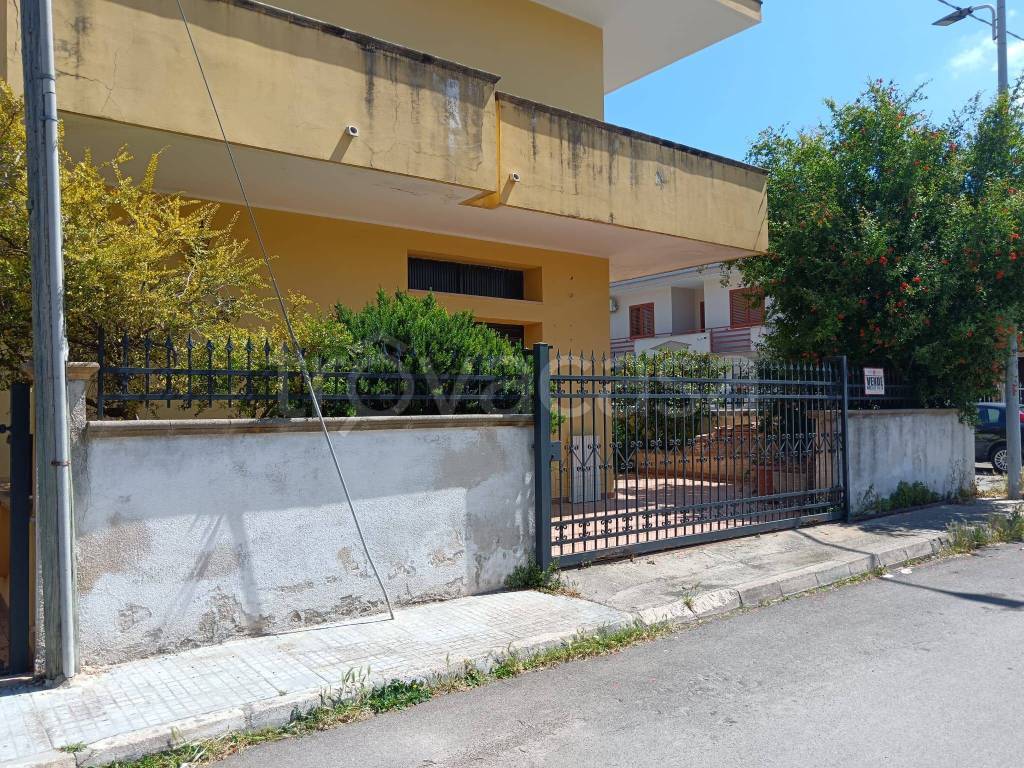 immagine annuncio 3 di 13