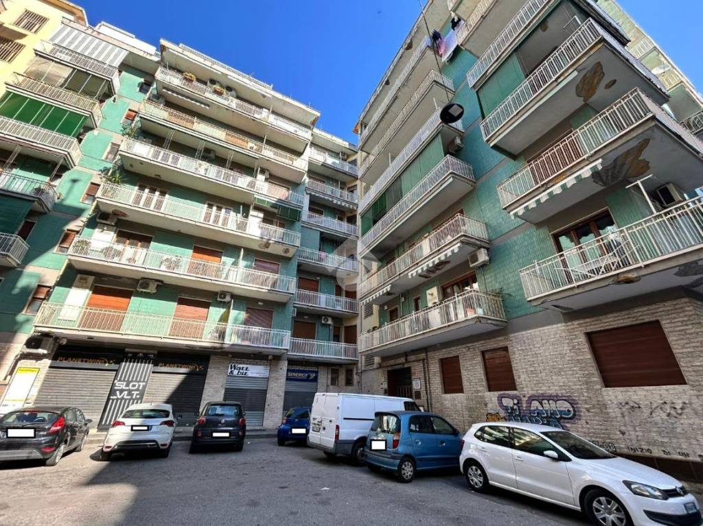 immagine annuncio 3 di 14