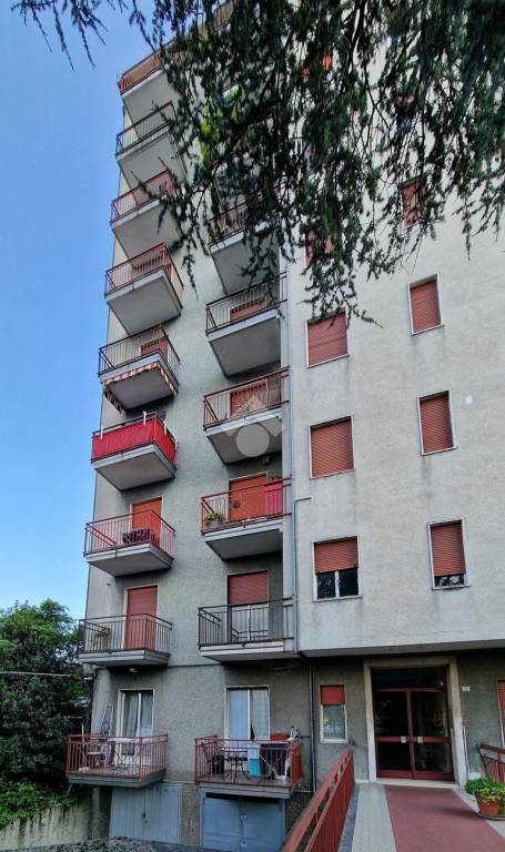immagine annuncio 7 di 11