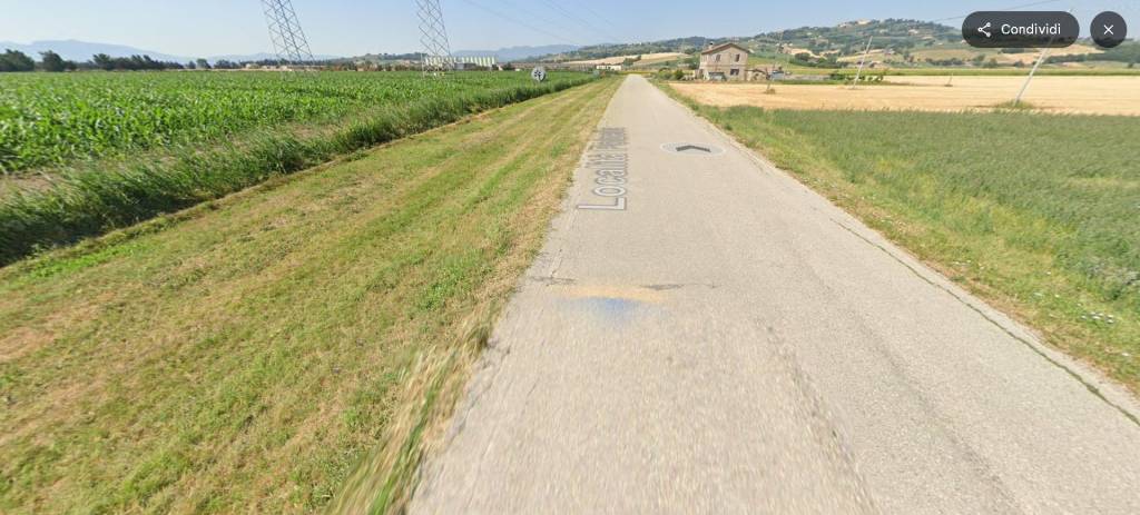 immagine annuncio 11 di 14