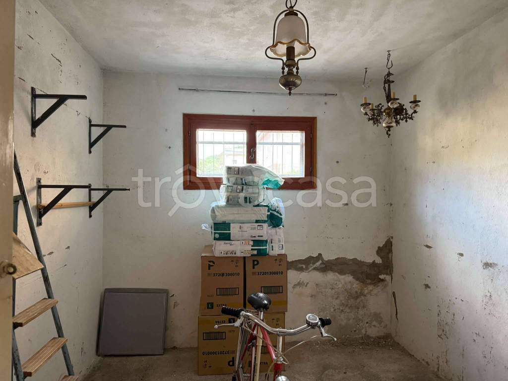 immagine annuncio 9 di 14