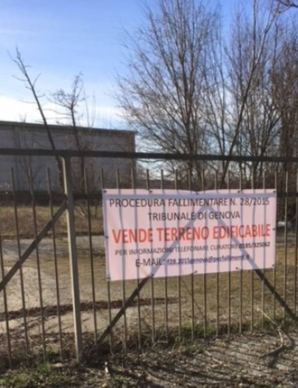 immagine annuncio 9 di 11
