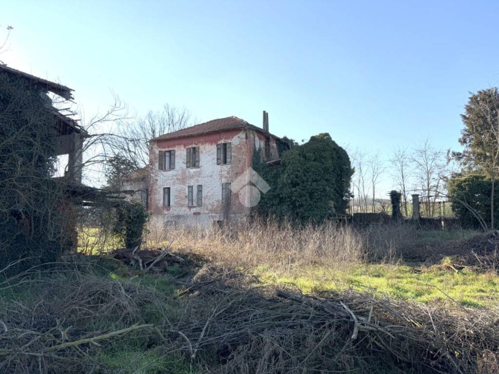 immagine annuncio 10 di 15