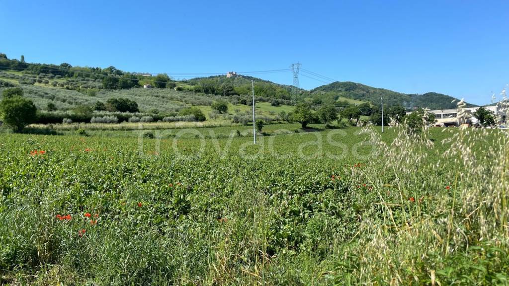 immagine annuncio 4 di 8