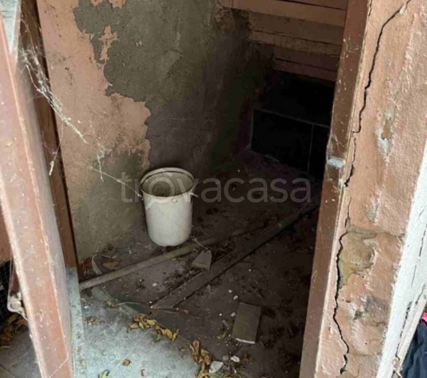 immagine annuncio 5 di 14