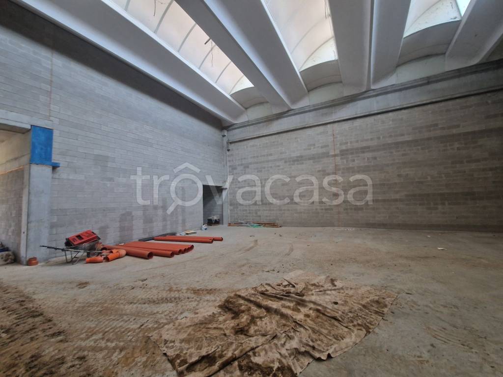 immagine annuncio 3 di 14