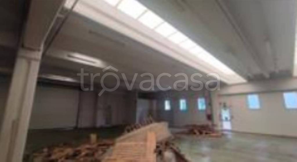 immagine annuncio 8 di 11