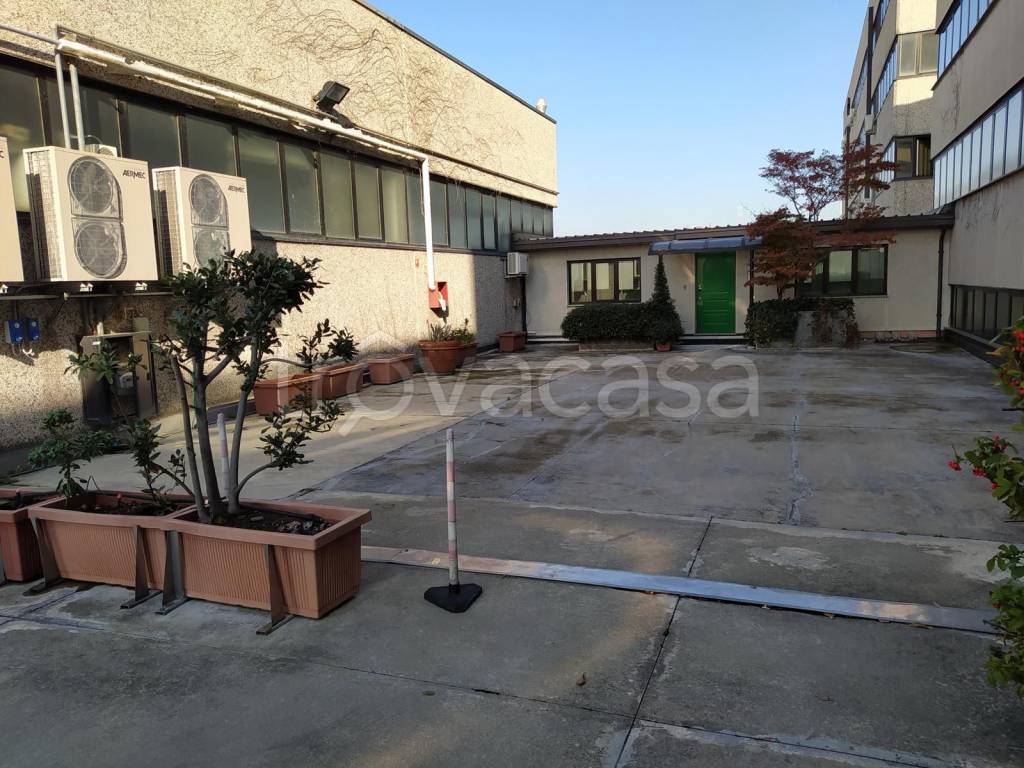 immagine annuncio 2 di 12
