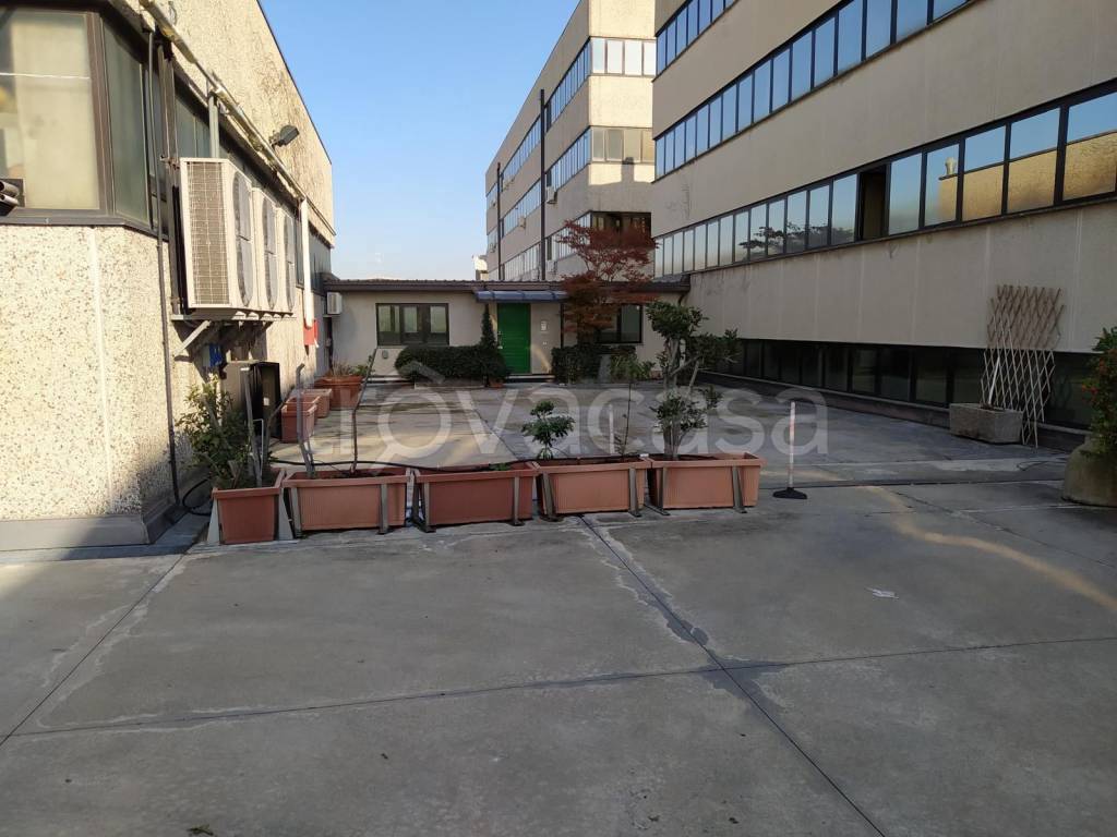 immagine annuncio 3 di 12