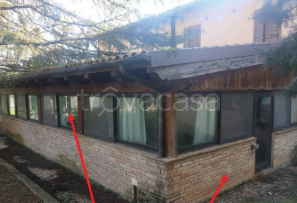 immagine annuncio 9 di 12