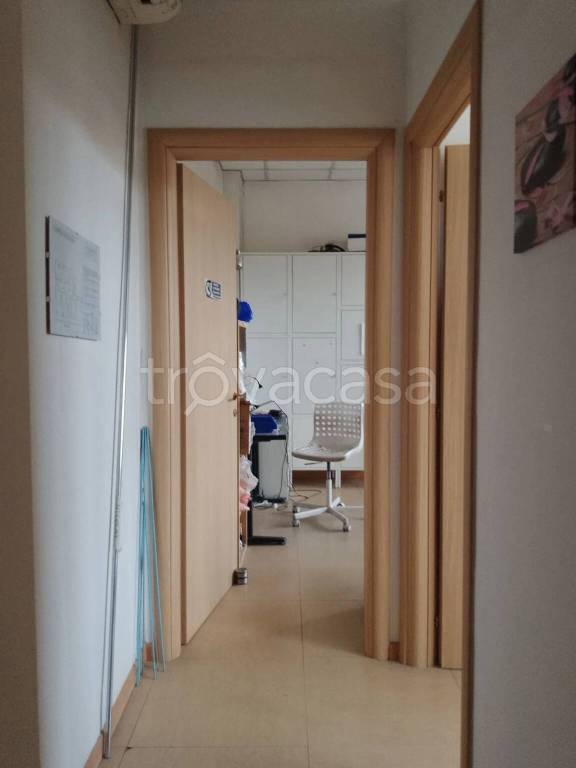 immagine annuncio 2 di 14