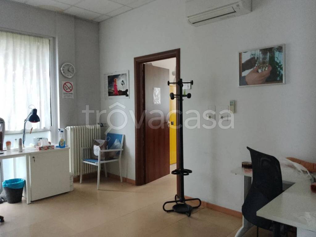 immagine annuncio 3 di 14