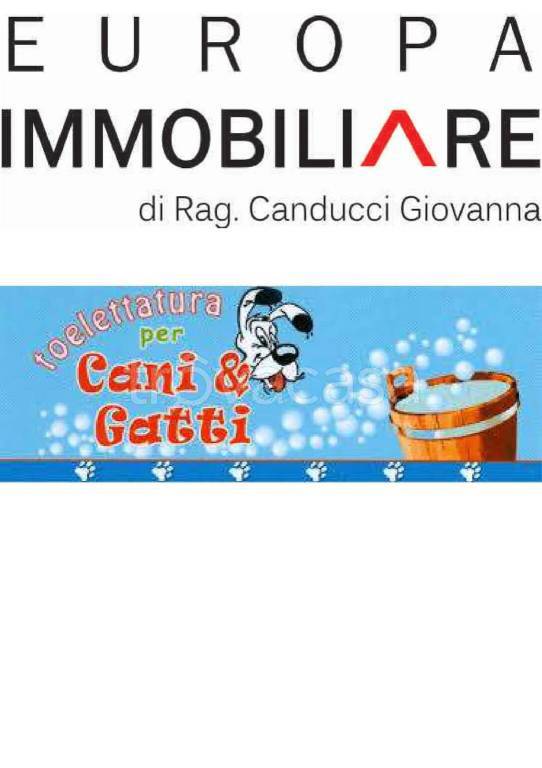 immagine annuncio 3 di 9