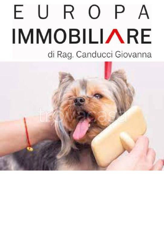 immagine annuncio 6 di 9