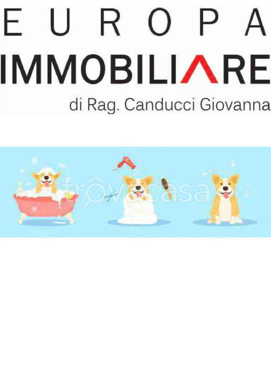 immagine annuncio 7 di 9