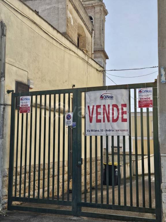 immagine annuncio 2 di 14