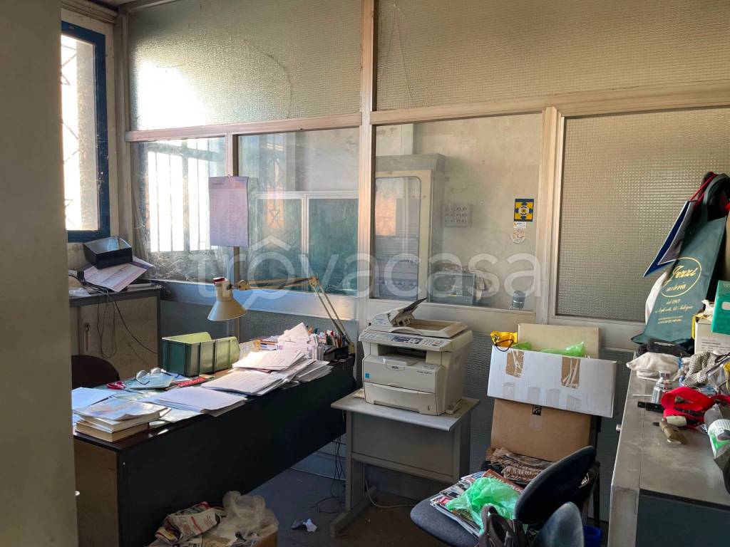 immagine annuncio 6 di 13