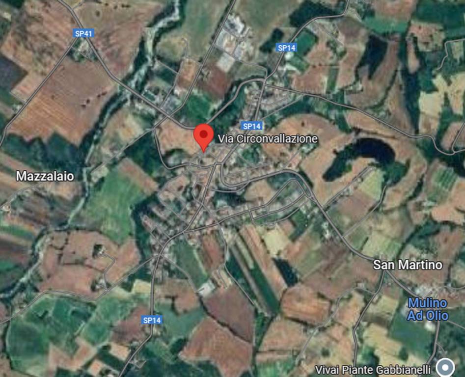 immagine annuncio 5 di 11