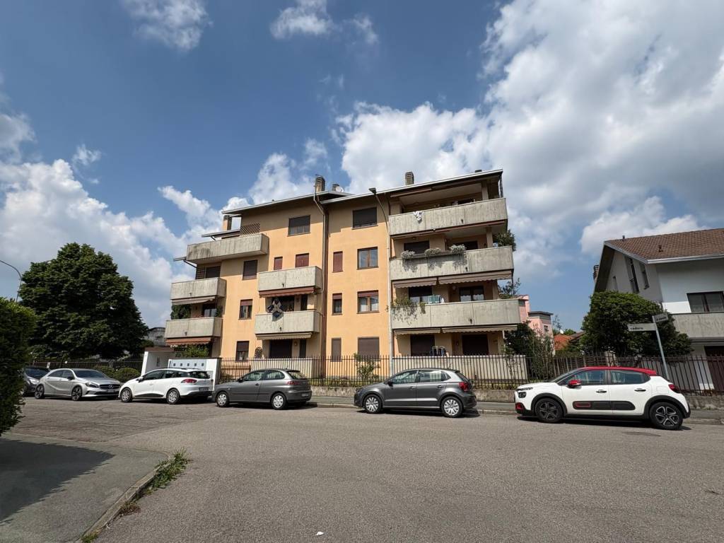 immagine annuncio 11 di 12