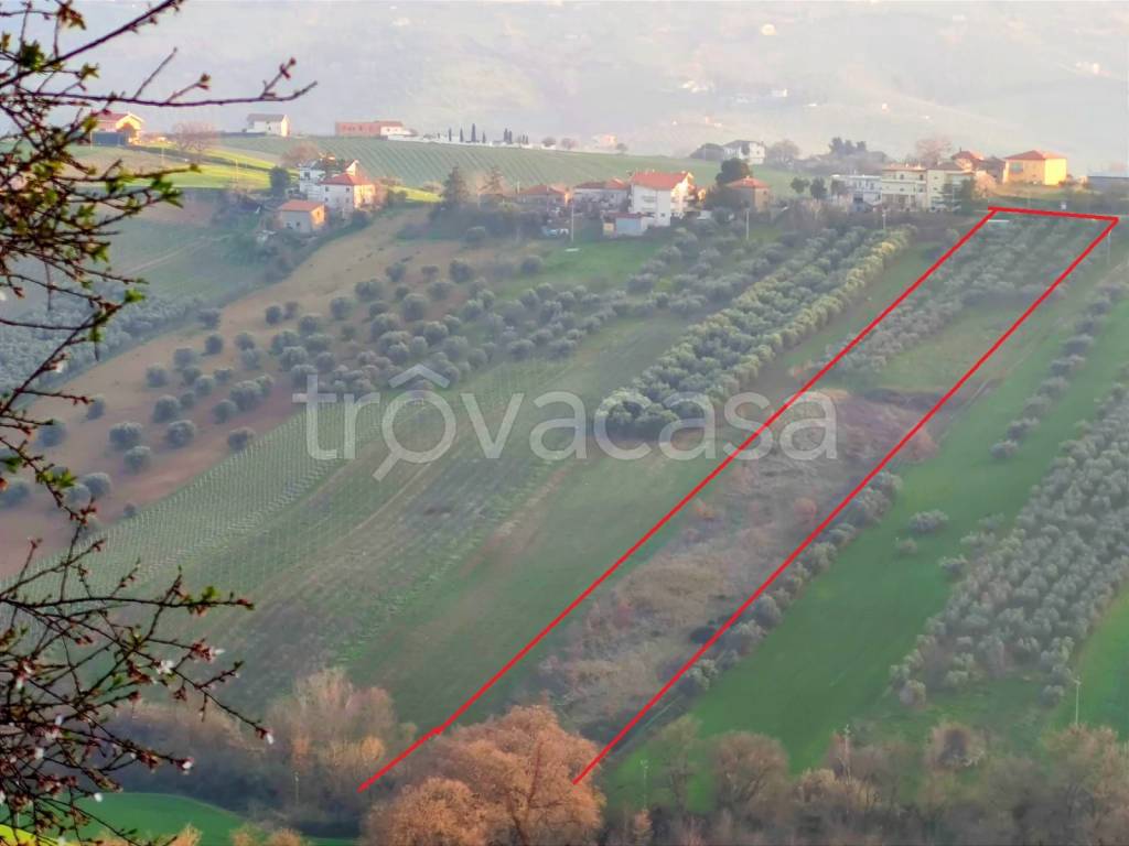 immagine annuncio 1 di 3