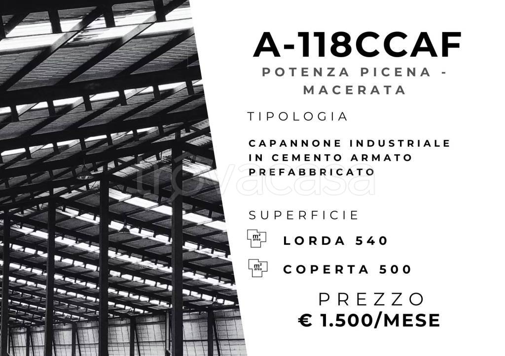 immagine annuncio 1 di 11
