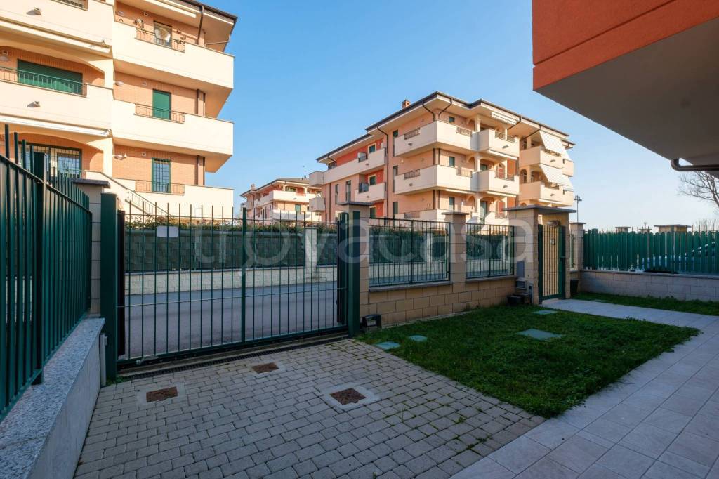 immagine annuncio 5 di 15