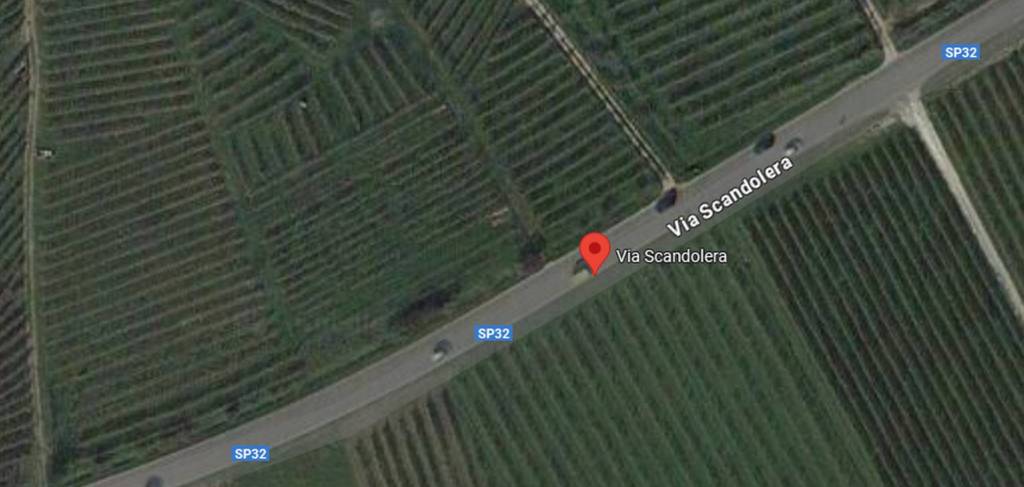 immagine annuncio 6 di 11