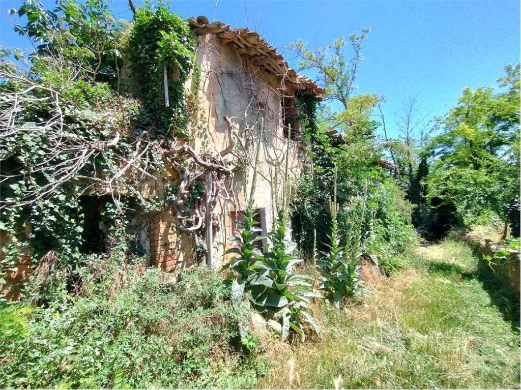 immagine annuncio 1 di 8