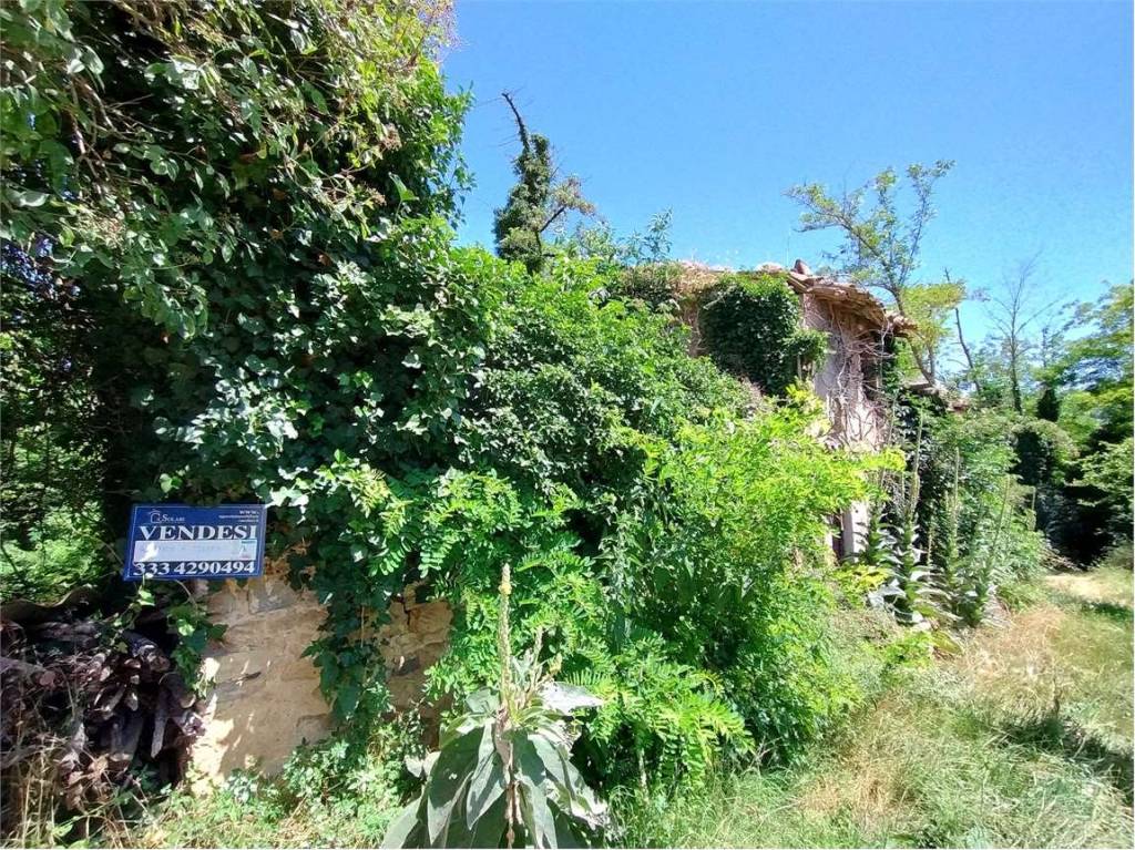 immagine annuncio 7 di 8
