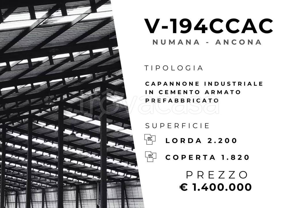 immagine annuncio 1 di 11