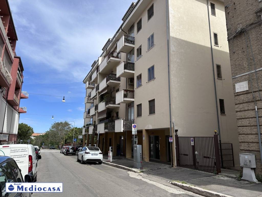 immagine annuncio 11 di 14