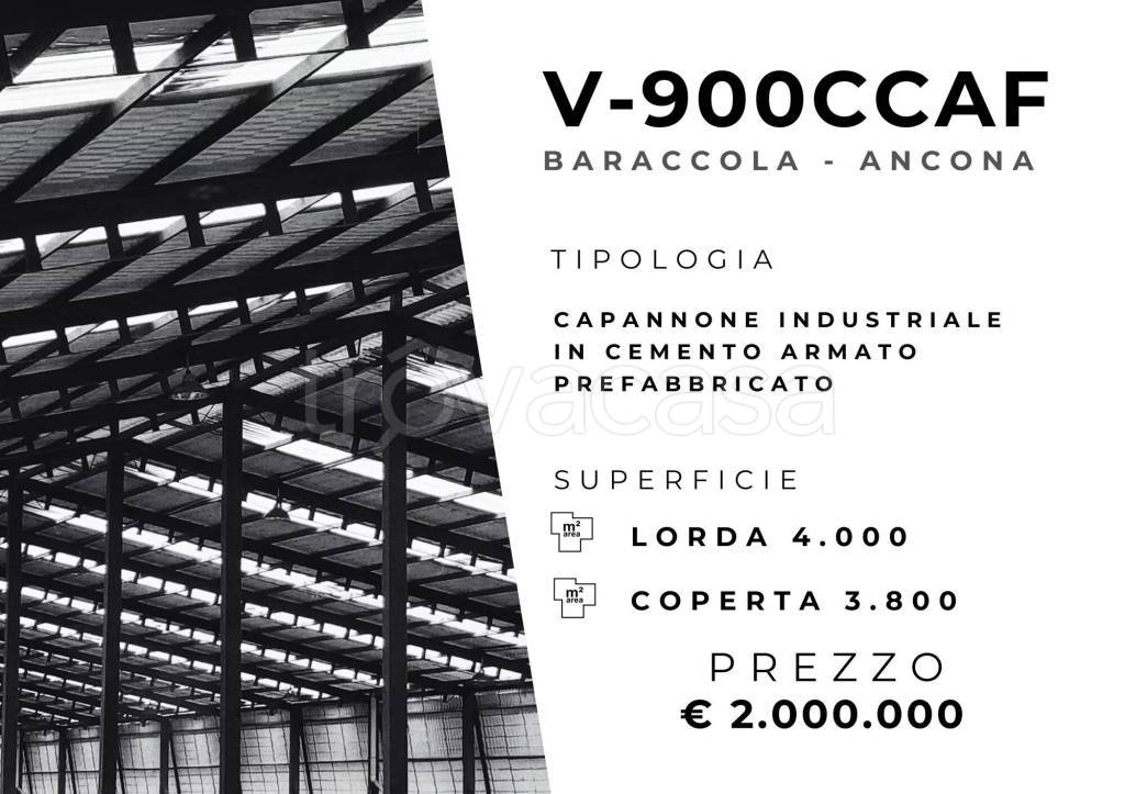 immagine annuncio 1 di 11